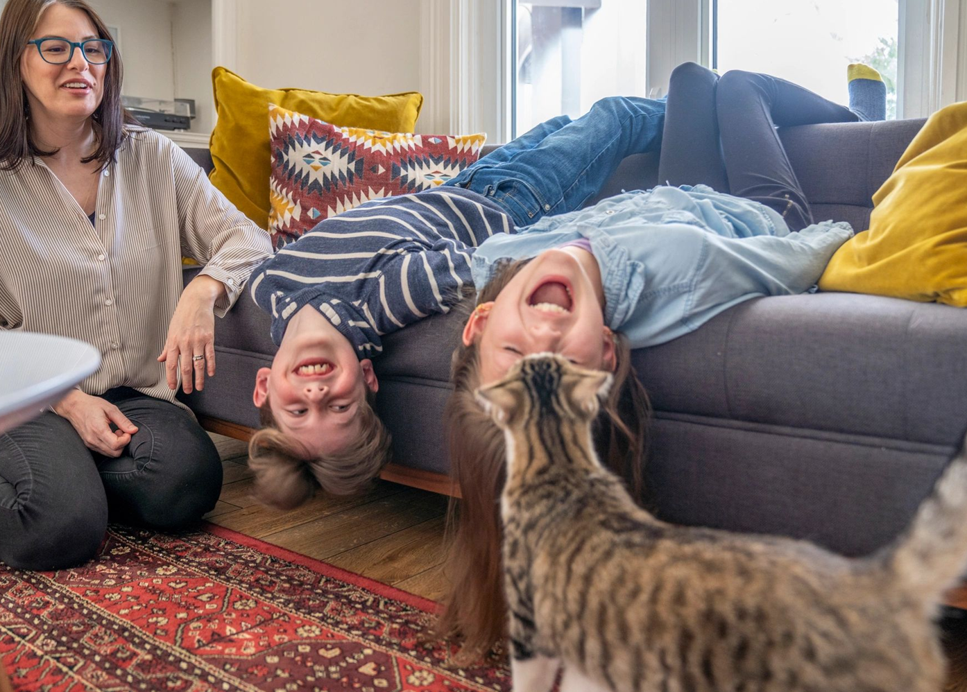 Cat at home with family